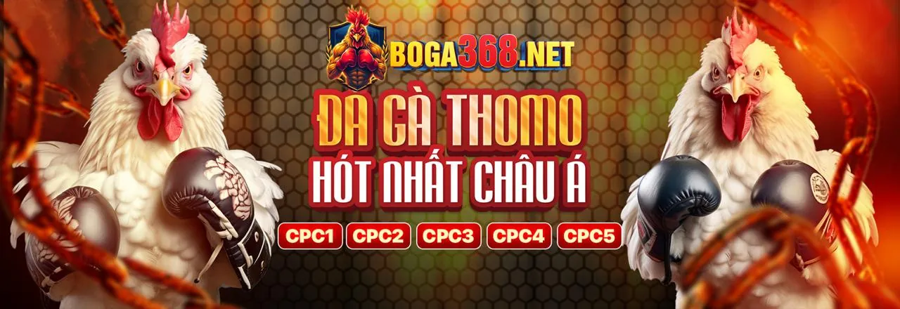 Hình ảnh chính của trang blog 13win21